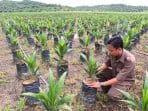 Pemkab Ingin Kembangkan Industri Hilir Sawit