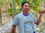 Petani Muda Sangatta Berhasil Budidayakan Labu Madu Petani Muda Sangatta Berhasil Budidayakan Labu Madu