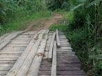 Warga Desa Teluk Pandan Keluhkan Jembatan Rusak