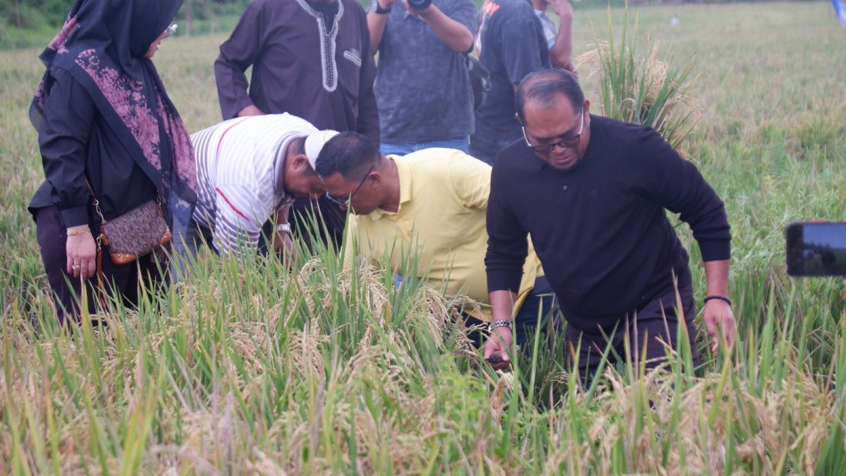 Hadiri Pesta Panen Raya, Wabup Kutim Terima Keluhan dan Masukan dari Kelompok Petani 1 a0e00980 b4c6 4d63 b47d ad26b78cba4e